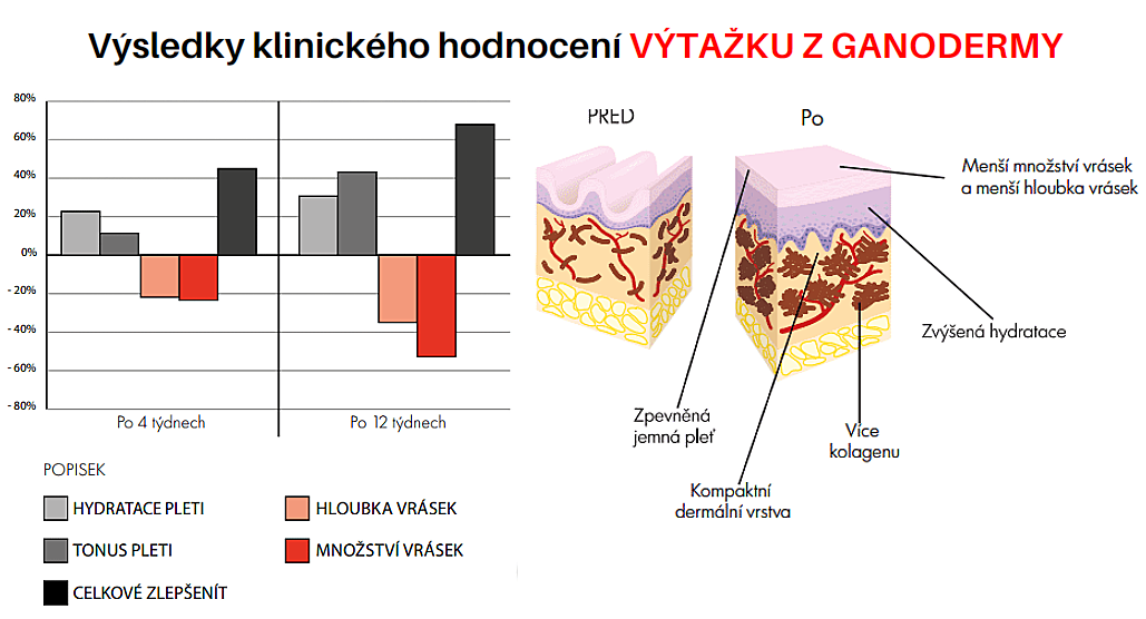 klinicke vysledky ganoderma 1